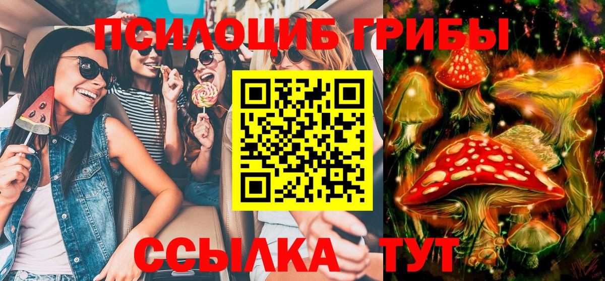 Галлюциногенные грибы Psilocybine cubensis Йошкар-Ола