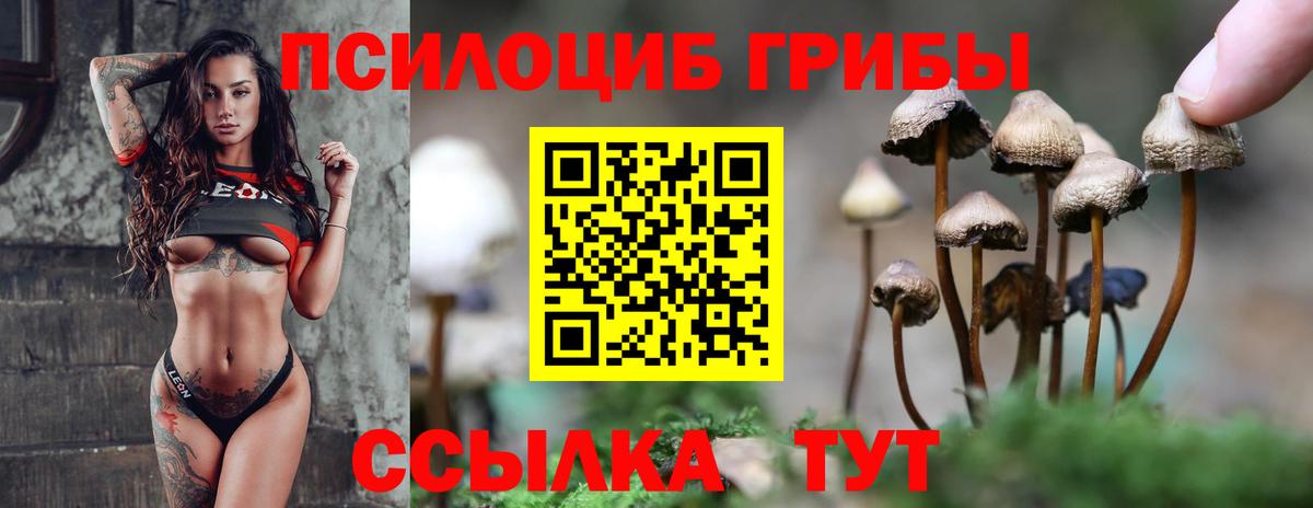 Йошкар-Ола  Псилоцибиновые грибы мицелий  Вход с VPN 